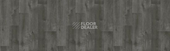 Линолеум Tarkett Bonus DUART 4 фото 1 | FLOORDEALER